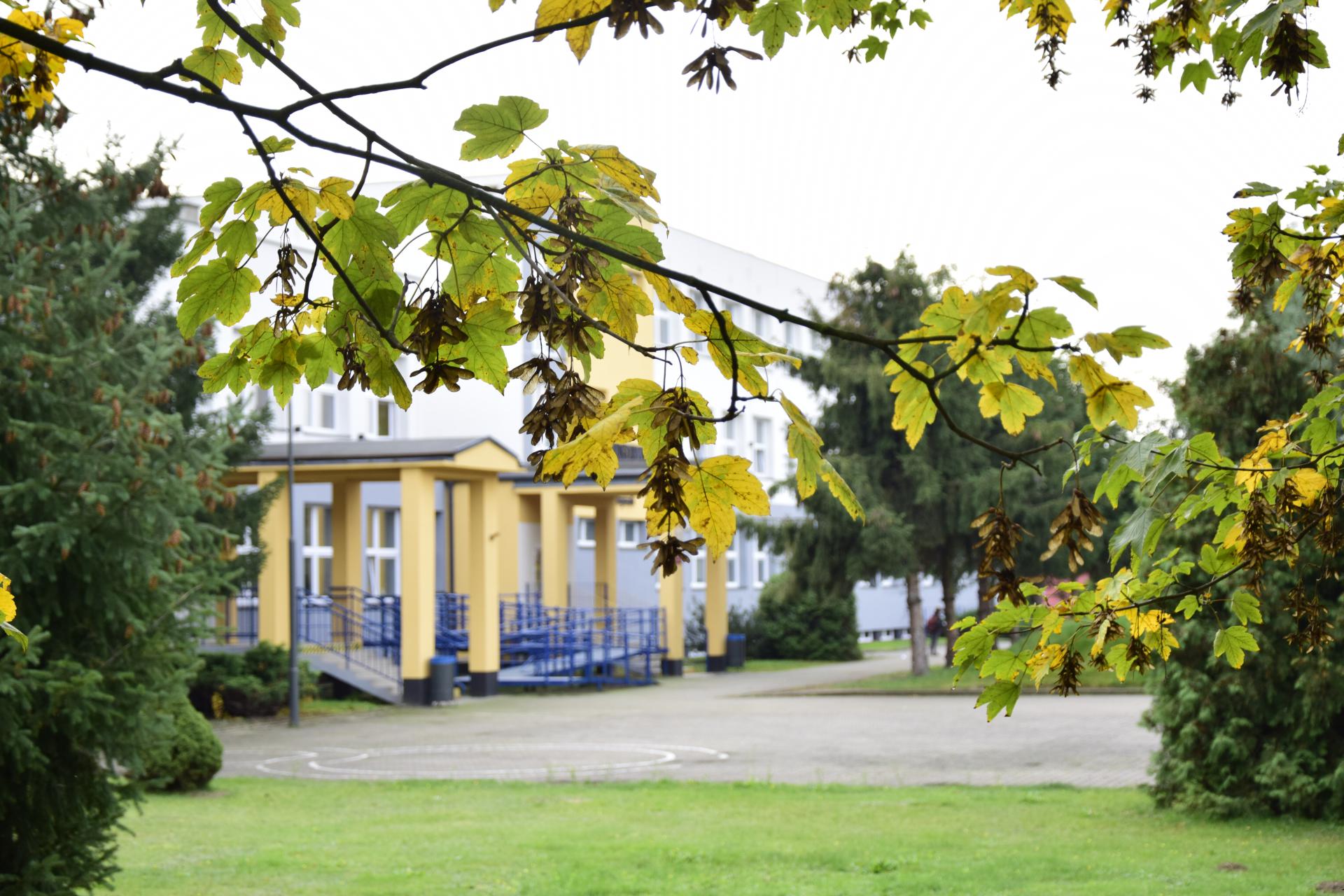 Pozycjonowanie stron www